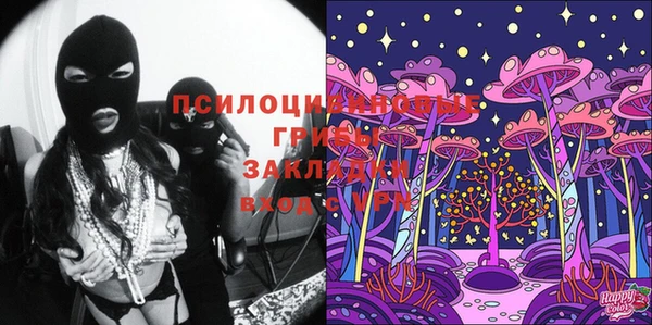 молекула духа Нея