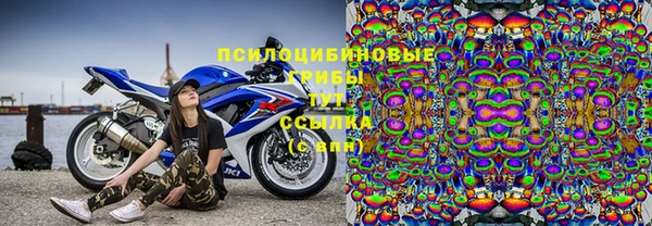 молекула духа Нея